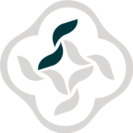 英文字 S