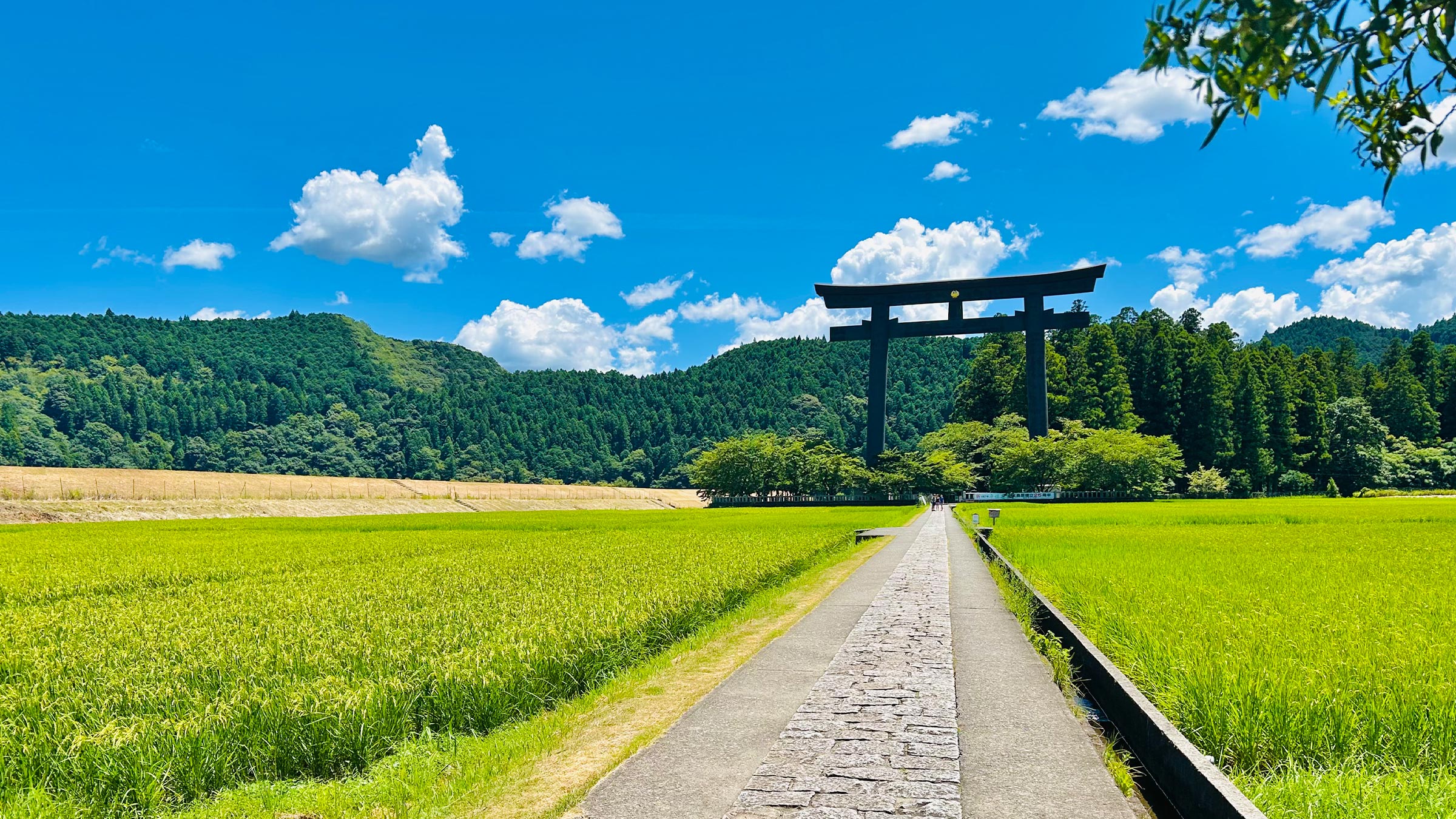 關西．紀伊半島山行7日
